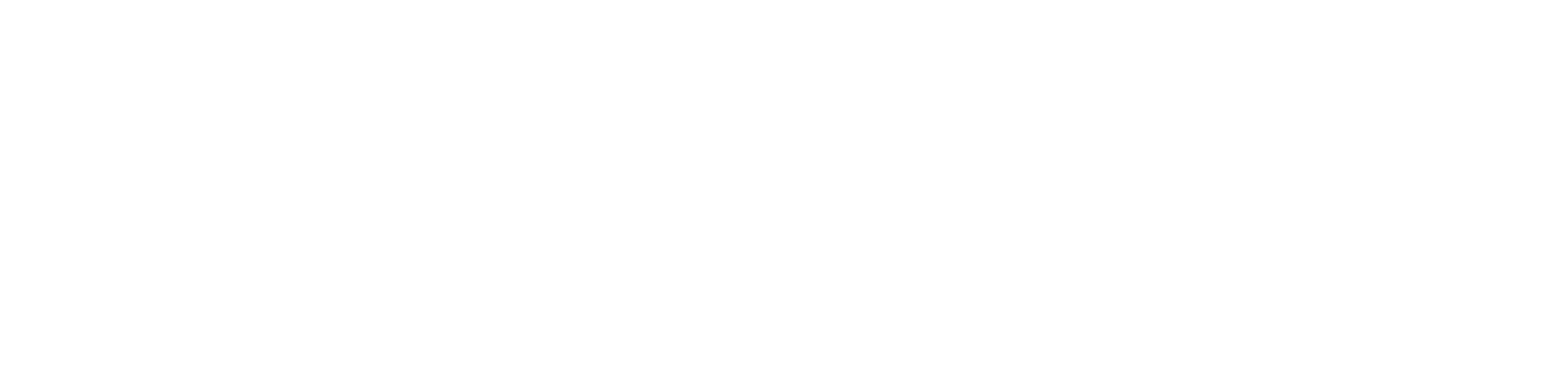 Turri Vive Clinique